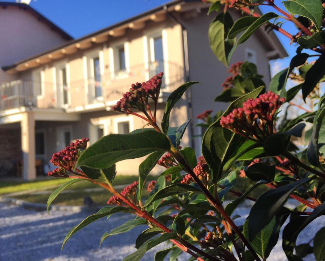 Happy Hill - Appartamento Quercia - Natura E Relax Santa Maria Rocca Bagian luar foto