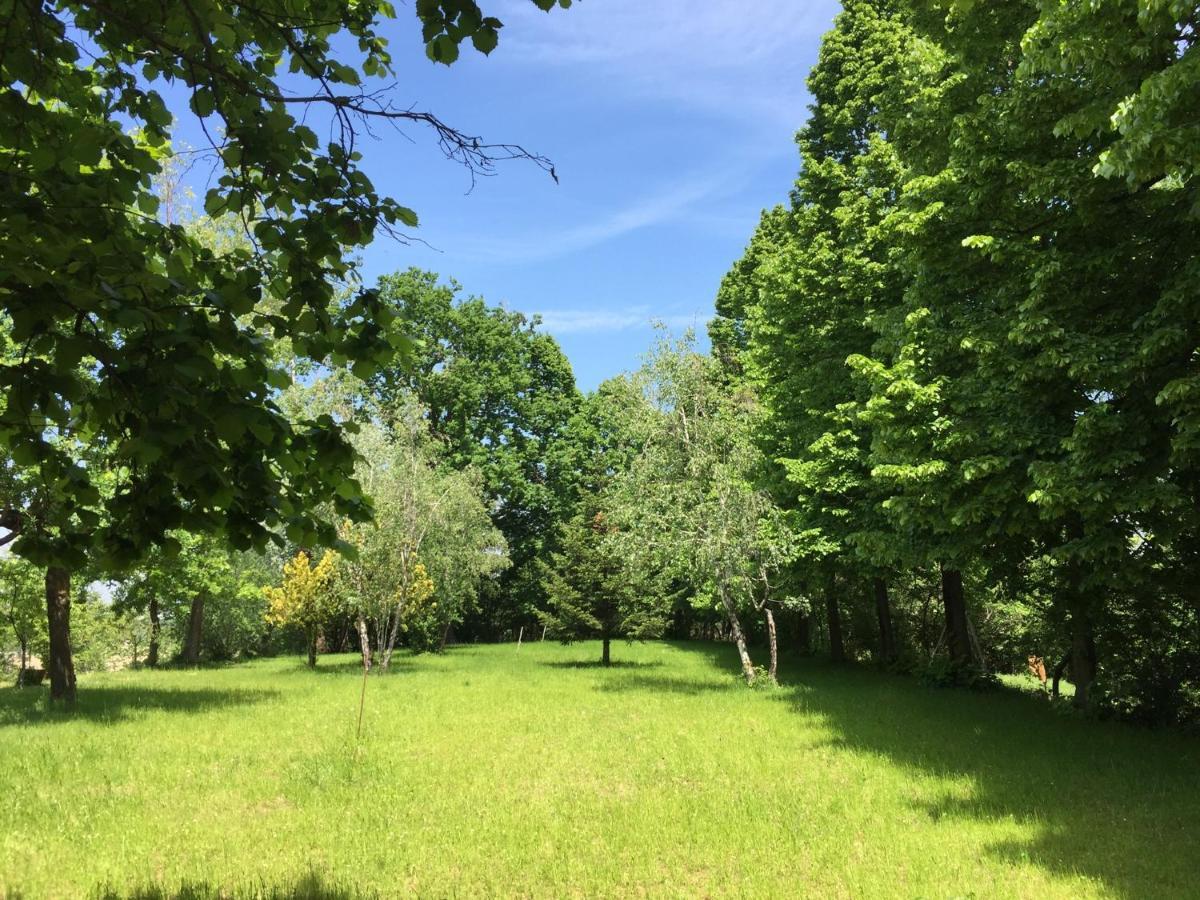 Happy Hill - Appartamento Quercia - Natura E Relax Santa Maria Rocca Bagian luar foto