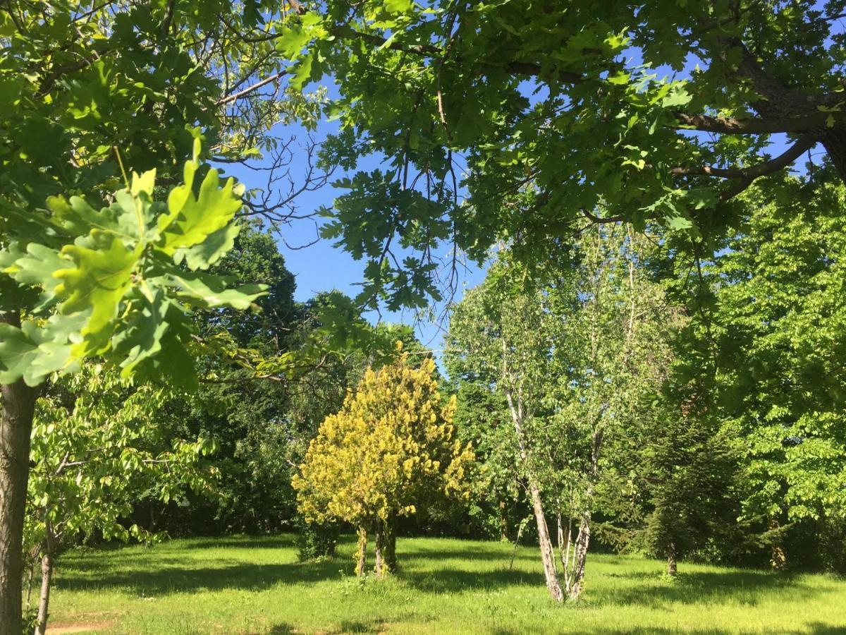 Happy Hill - Appartamento Quercia - Natura E Relax Santa Maria Rocca Bagian luar foto